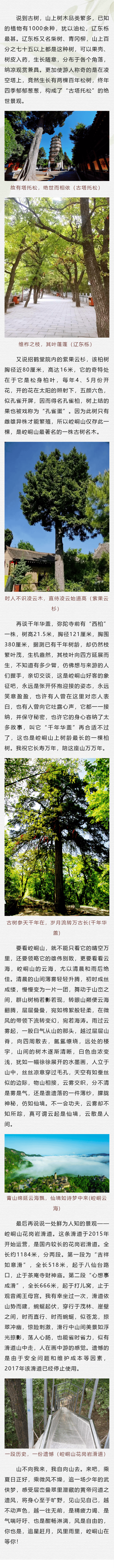 司法文苑 | 山不来,我自向山去——那些关于崆峒山的记忆