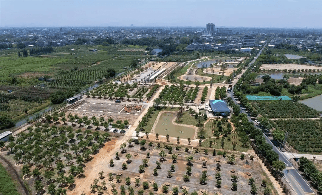 "千年古镇"绘就乡村振兴新蓝图_隆都镇_发展_农业