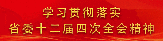 陈路调研矿产资源开发利用和重点工业企业