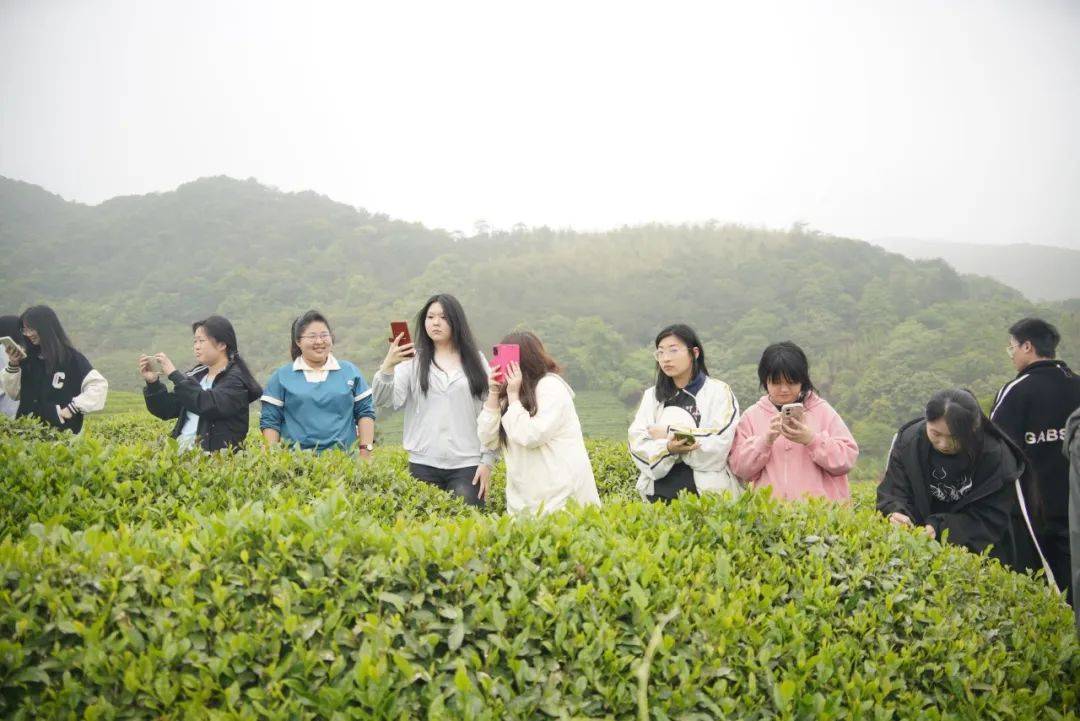 浙江商业技师学院丨茶文化与营销专业开展以茶知礼,以劳育人专业