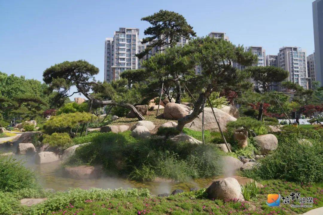 藏在闹市中的艺博园,古松苍翠挺拔,流水潺潺,叠瀑奔涌,青青翠竹盛着