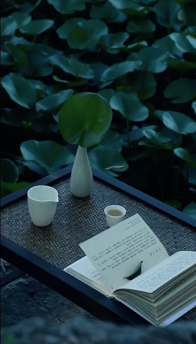 一半烟火入世间,一半诗意在心田_生活_人生_人间