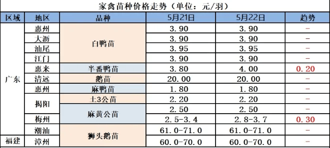 5月23日(鹅价涨 涨 涨!未来两天:5月24-日-5月26日!最新鹅价!