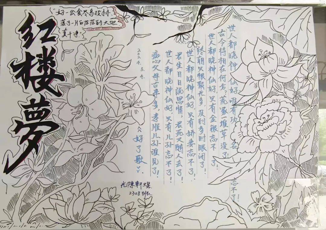 —高一年级《红楼梦》整本书阅读手抄报展示