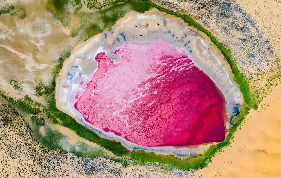 【地理视野】高考地理中的玫瑰湖,地理歌曲《生僻字》版《地球的历史