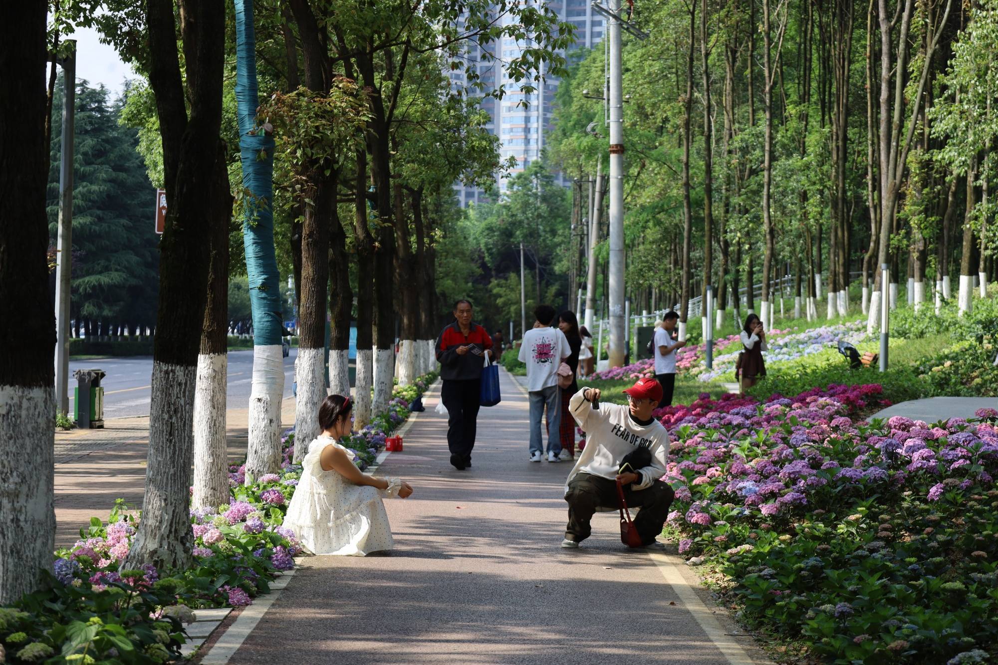 🌸纵览新闻【2024澳门天天开好彩大全】_汉嘉设计：智慧城市新征程，携手伏泰科技共塑未来