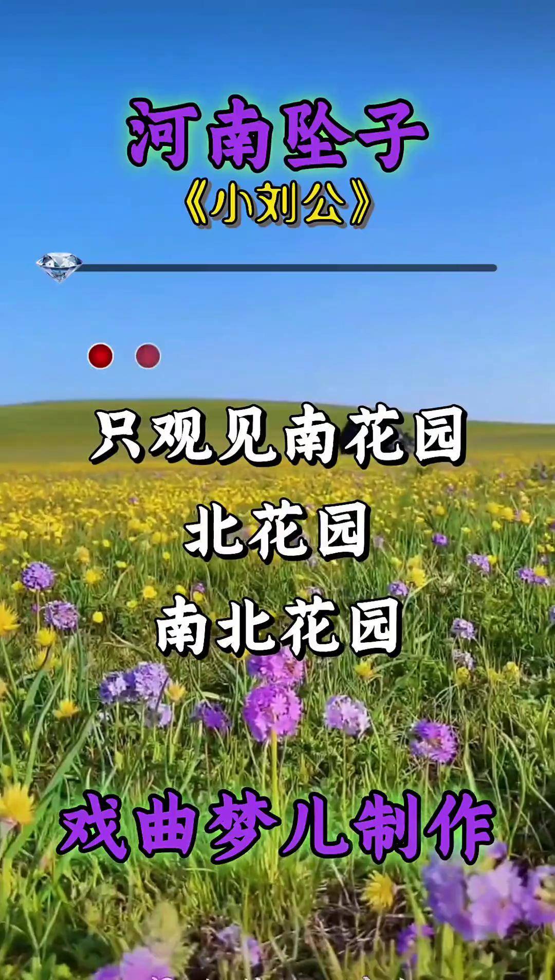 河南坠子小刘公十二集图片