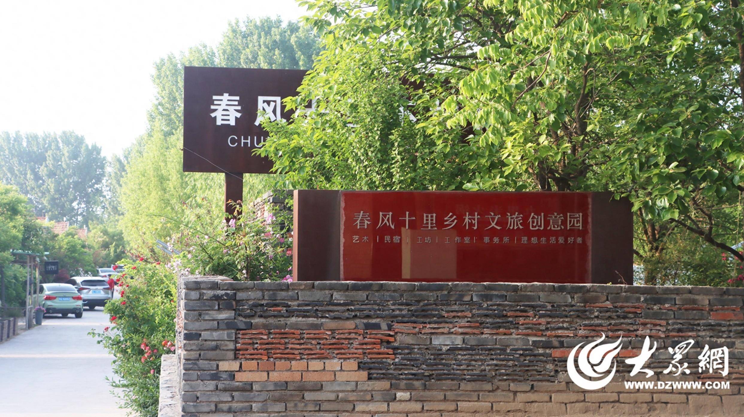 初夏时节 日照高新区河山镇春风十里蔷薇花盛开