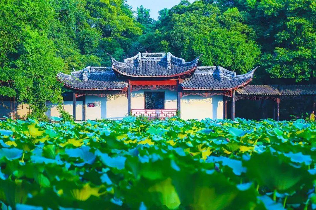 《庆余年2》热播!在湖州,体验诗一般的生活