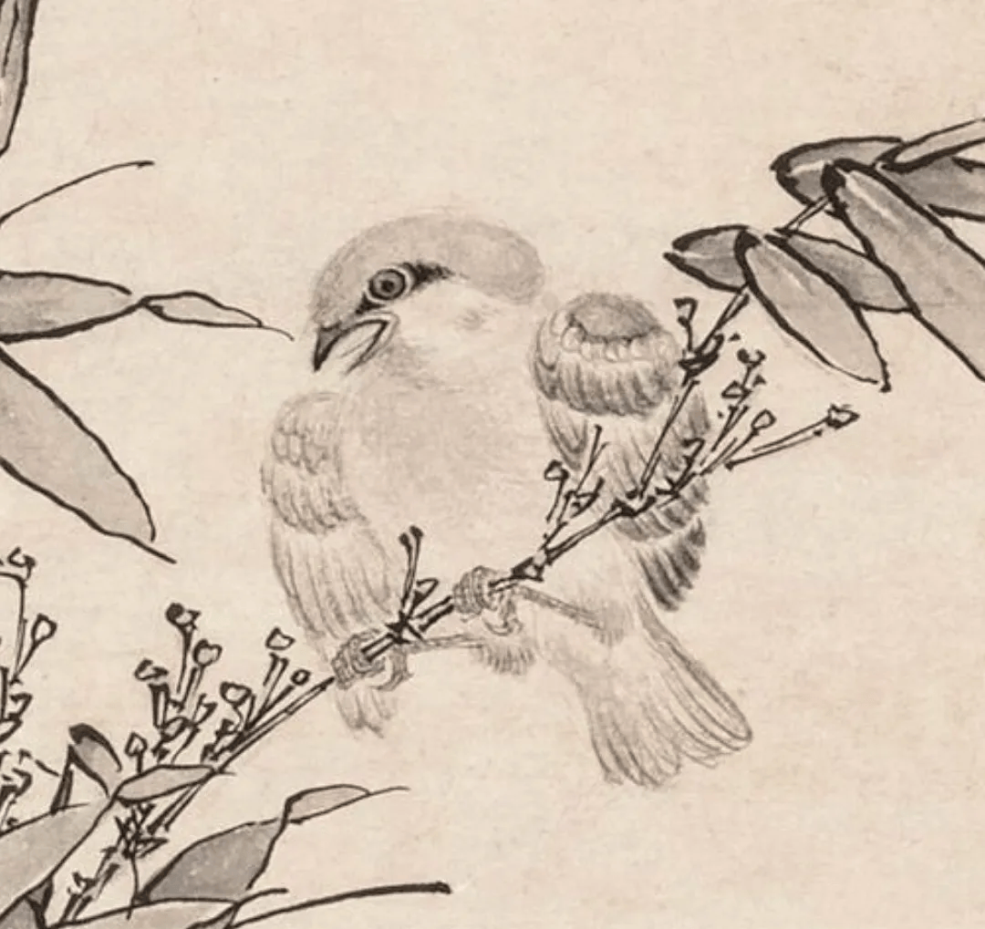 两幅很有爱的小麻雀!_水墨_花竹_王渊