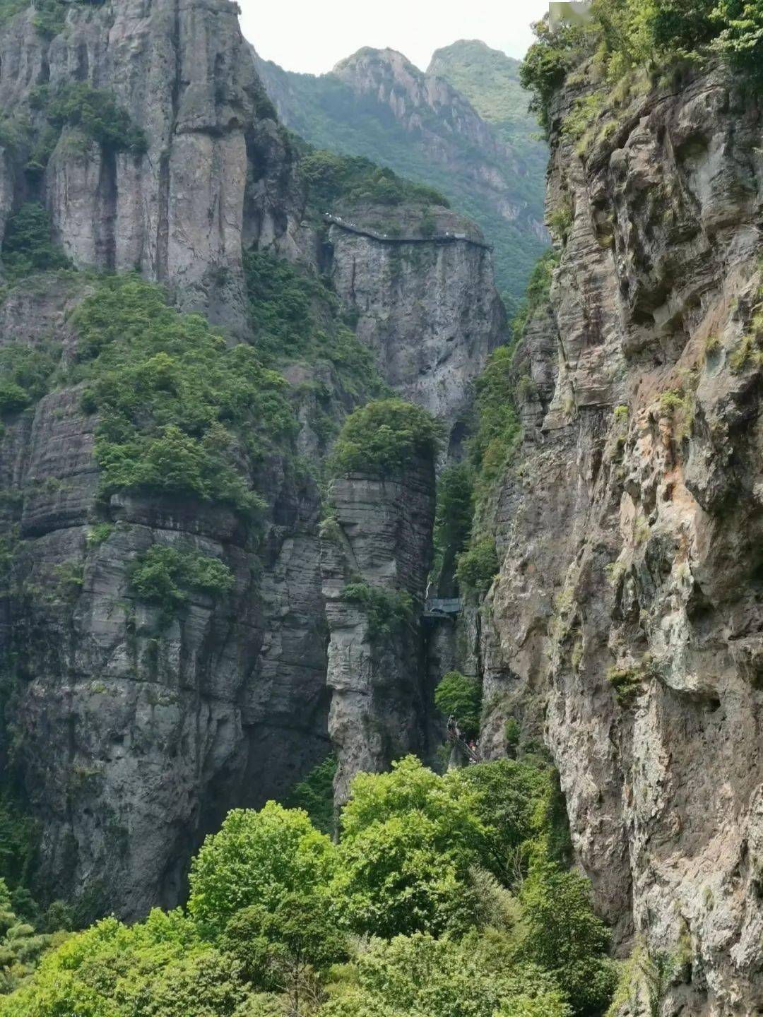 【云溪山人游记】雁山桐花开(一)灵岩_莲花洞_谷口_旅游