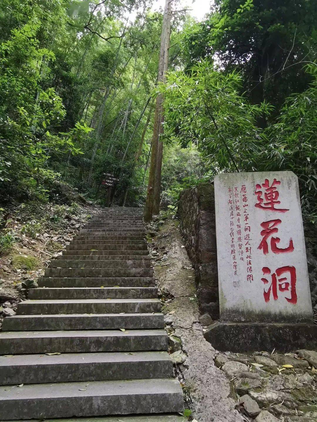 【云溪山人游记】雁山桐花开(一)灵岩_莲花洞_谷口_旅游