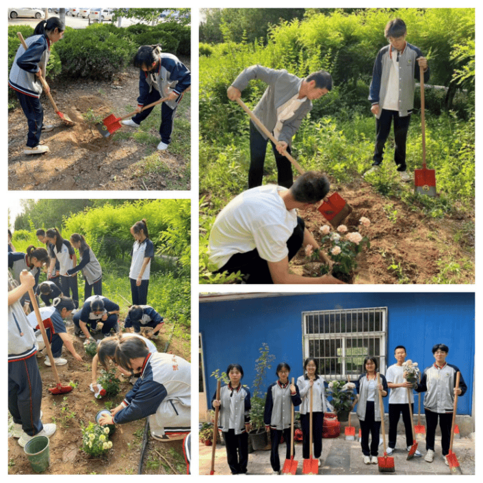 全环境立德树人 | 五育并举,赋能心灵——德州一中"心理健康宣传教育