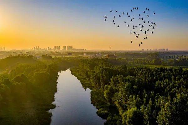 守敬视界 | 京杭大运河 —— 德州段