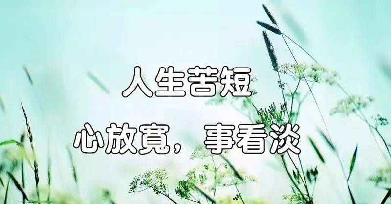 2024,最好的活法:一个字!