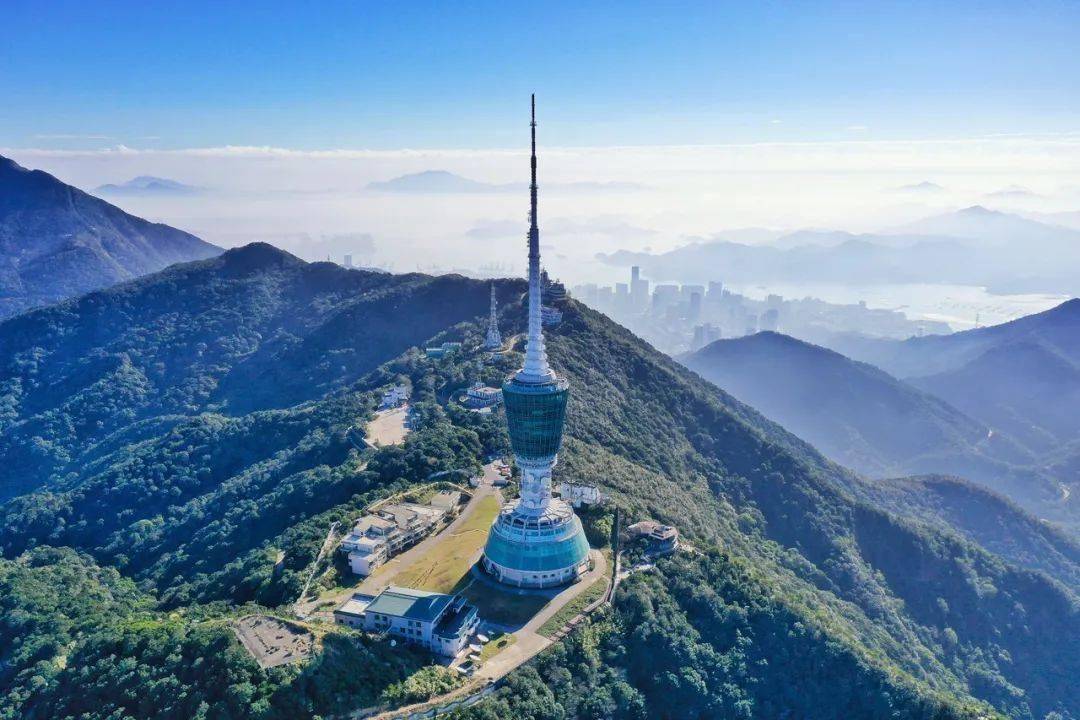 仙湖植物园就位于梧桐山上.共保存植物8000多种!