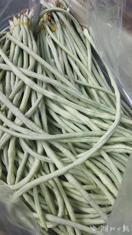 本地菜大量上市 初夏时节武汉"菜篮子"变轻了