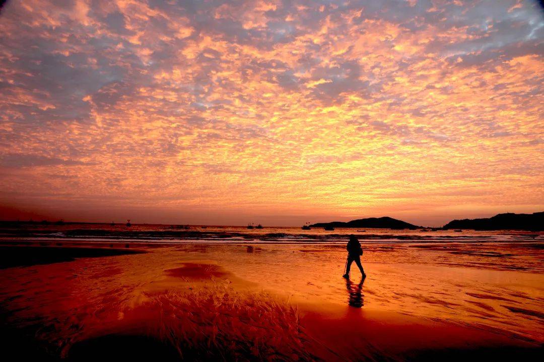 随手一拍就是壁纸!这个夏天,听说你也想来渔寮看海?