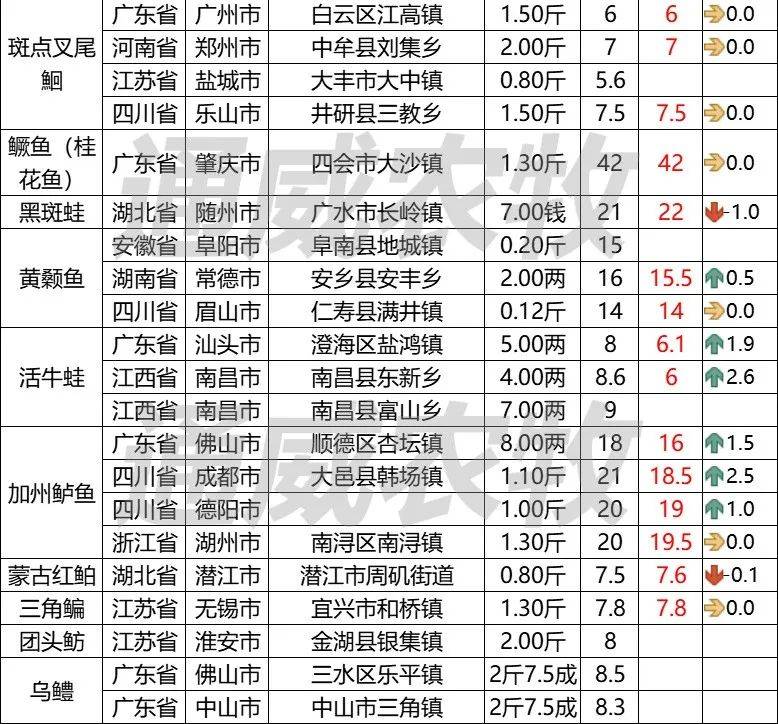 鸭嘴鱼价格图片