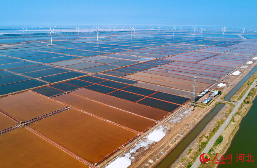万亩盐田“画”丰收_海盐_黄骅_结晶