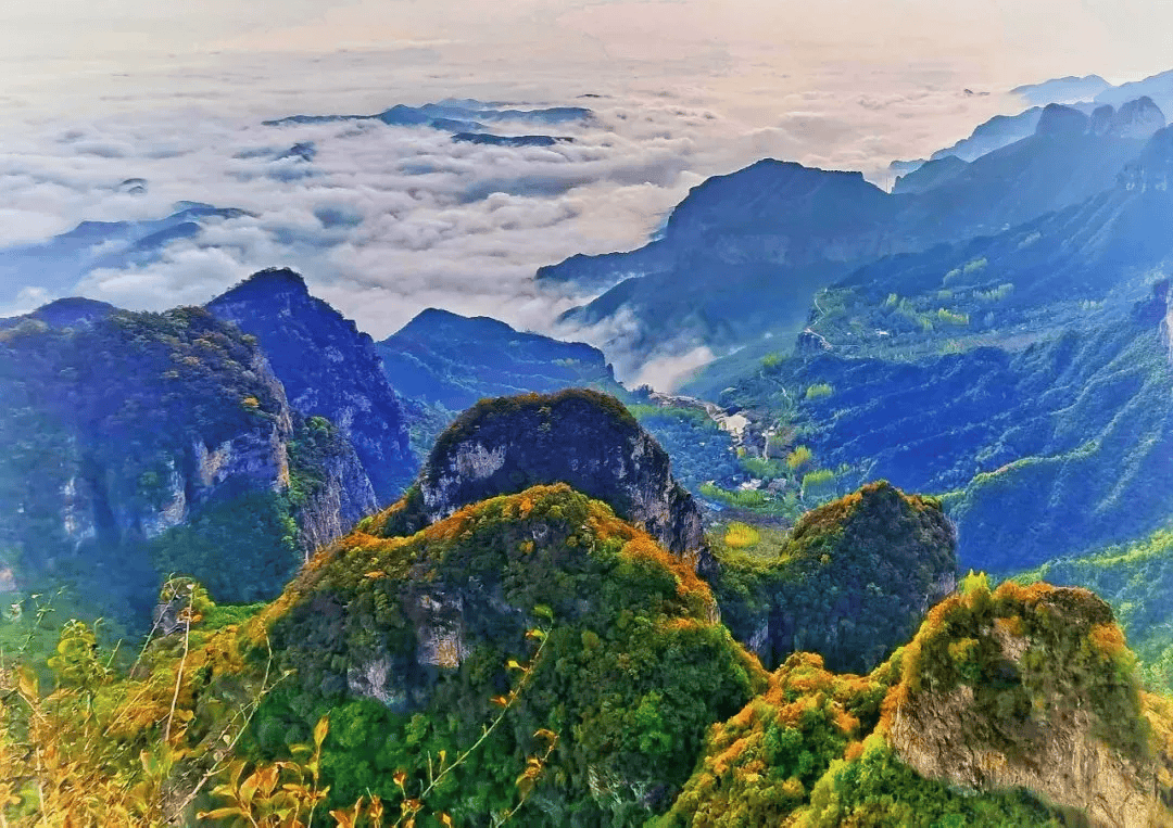 王莽岭风景图片