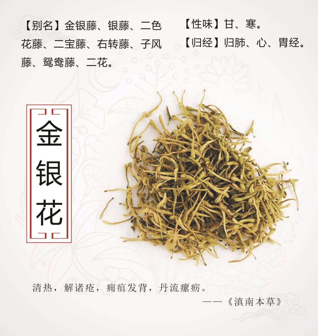 中药小故事 每天认识一味药