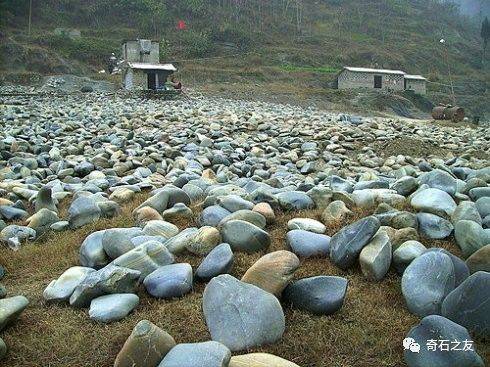 一行人中只有他慧眼识珠,在一个不起眼的角落里发现了石头上的图案像