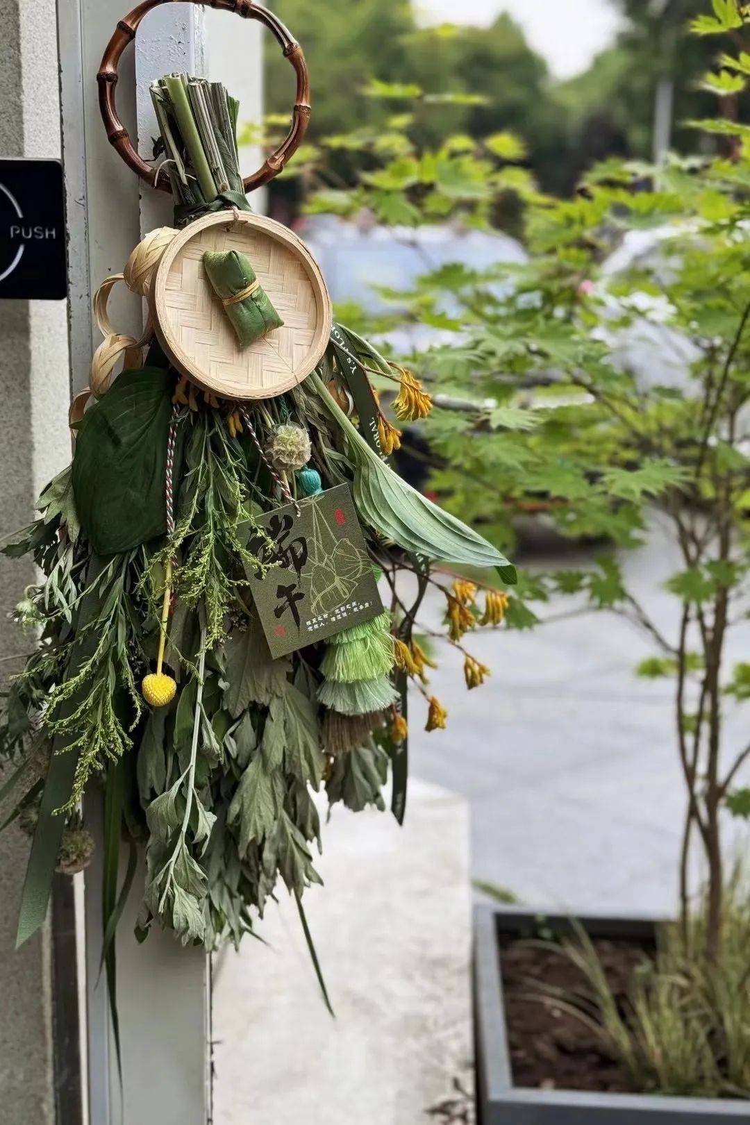 年轻人_寓意_菖蒲