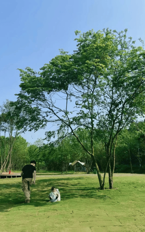 逃跑计划带你去露营~让我看看是谁又惬意了