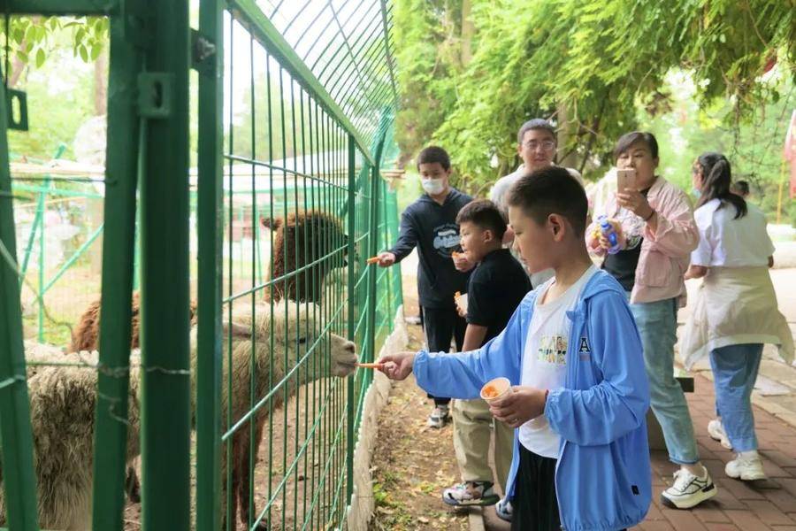 中国安全生产网 :二四六香港资料期期准-“新中式”旅游开始在山东出圈 文化游愈受青睐