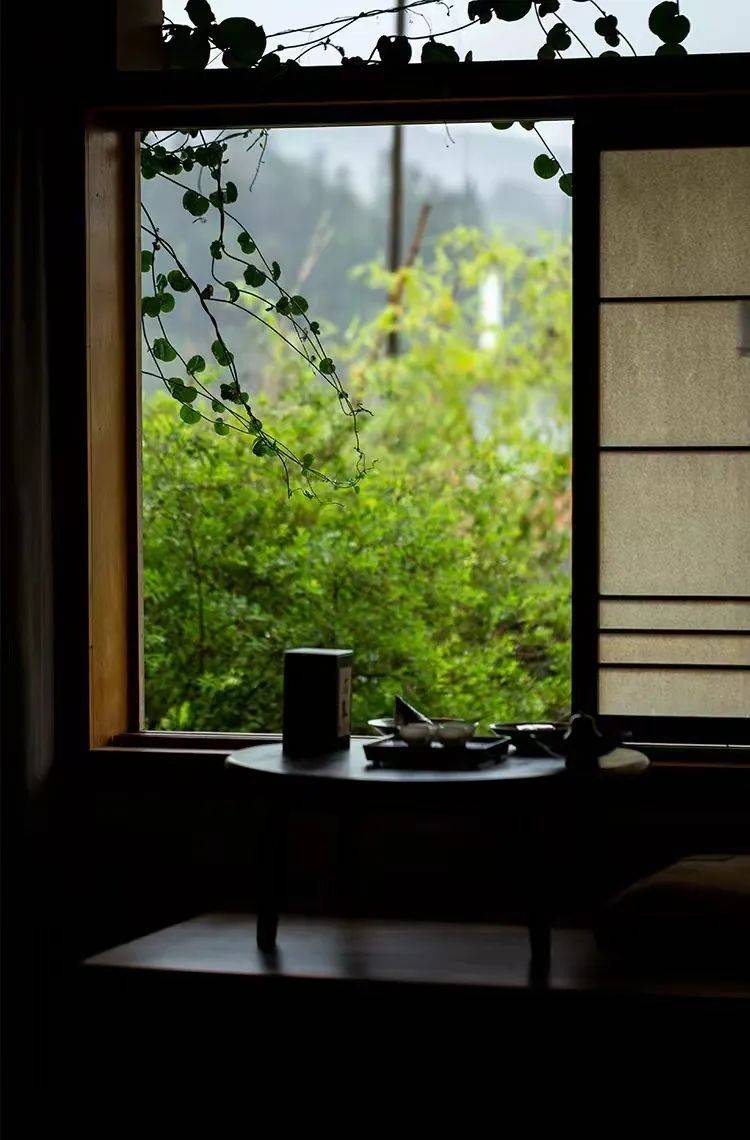 生命,是一种回声