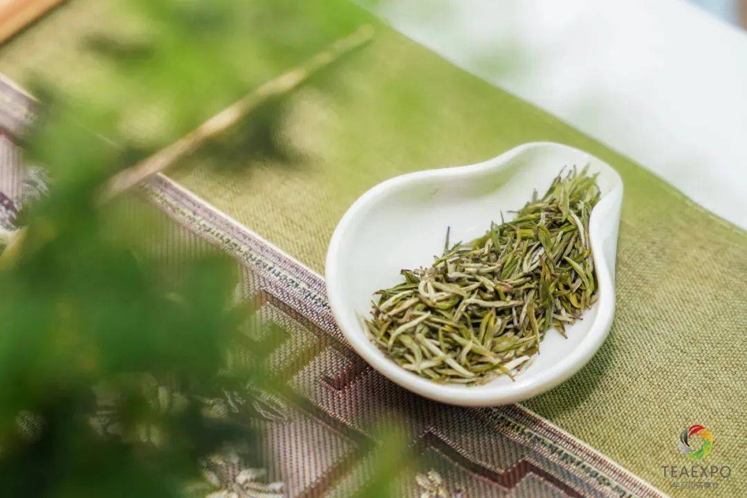 连续4天免费开放!西安这些大展再忙也要去!_博会_普洱_茶叶