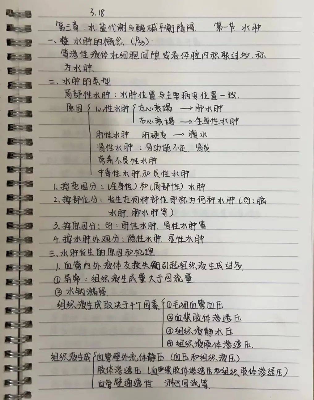 执笔挥墨·笔尖留香