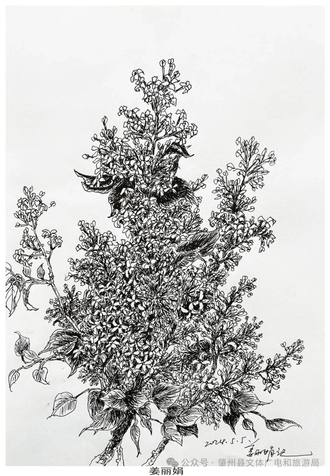 "我们的中国梦——文化进万家""肇州人画肇州"——绿茵遍野_速写_团队