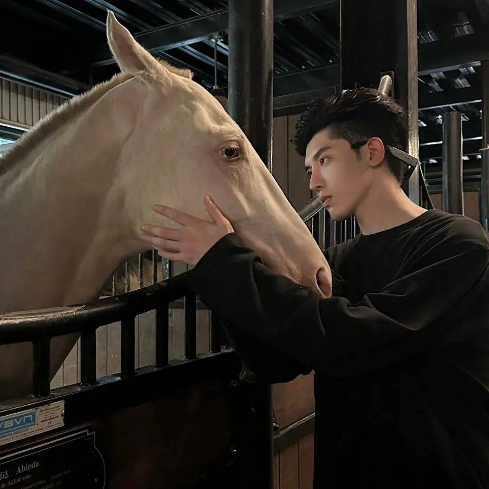 头像 | 绝绝子的微信头像好看爆了