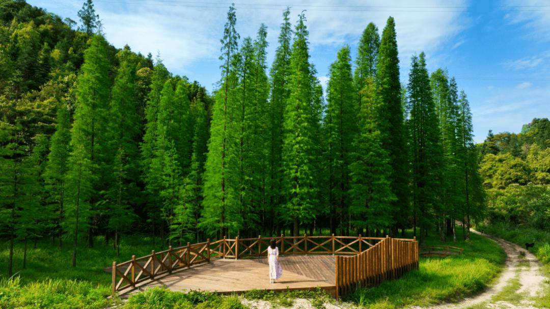 广东天井山国家森林公园地处南岭五岭支脉的南麓,是广东省拥有最大