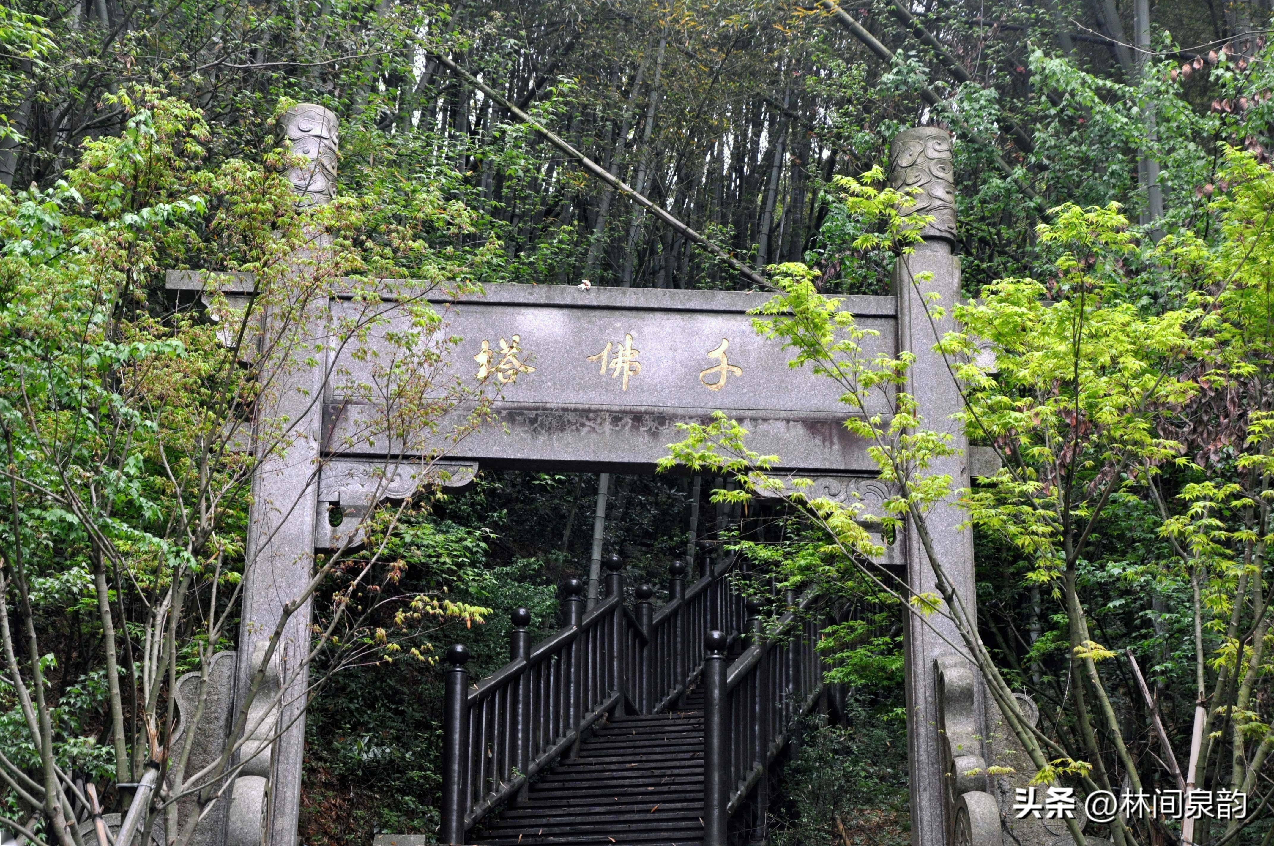 天童寺"群山峰抱一寺,一寺镇群山峰",美丽传说流传了1700多年