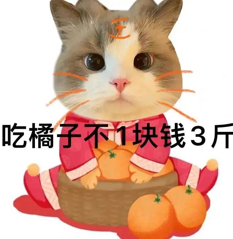 奇怪的表情包:you have no