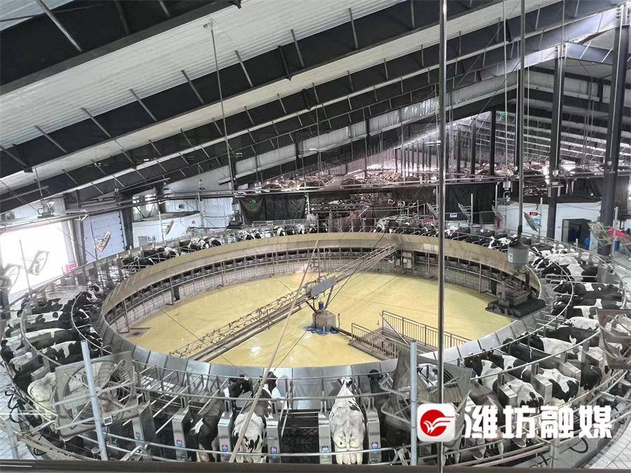 【更好潍坊】潍坊公布数字农业十大典型应用场景