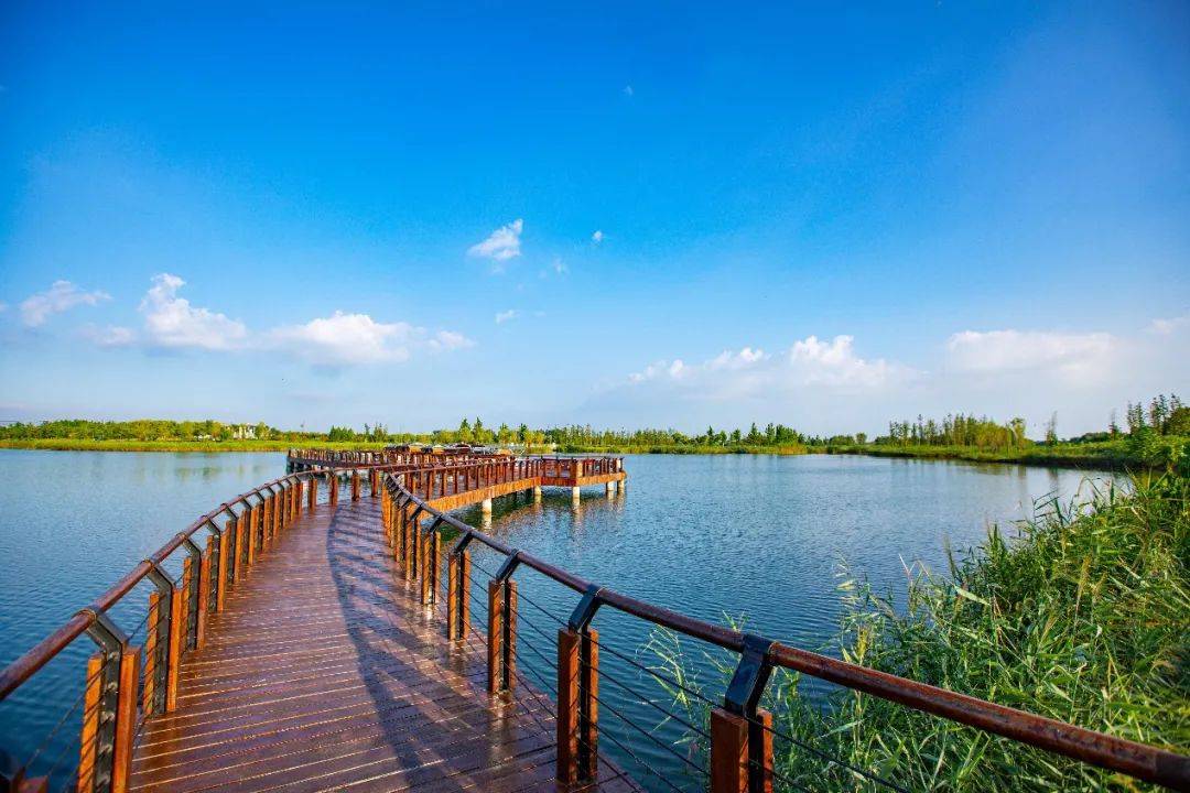 远远遥望就能抚平心绪要说湖平如镜,水光盈盈要说成子湖的露营,就不能