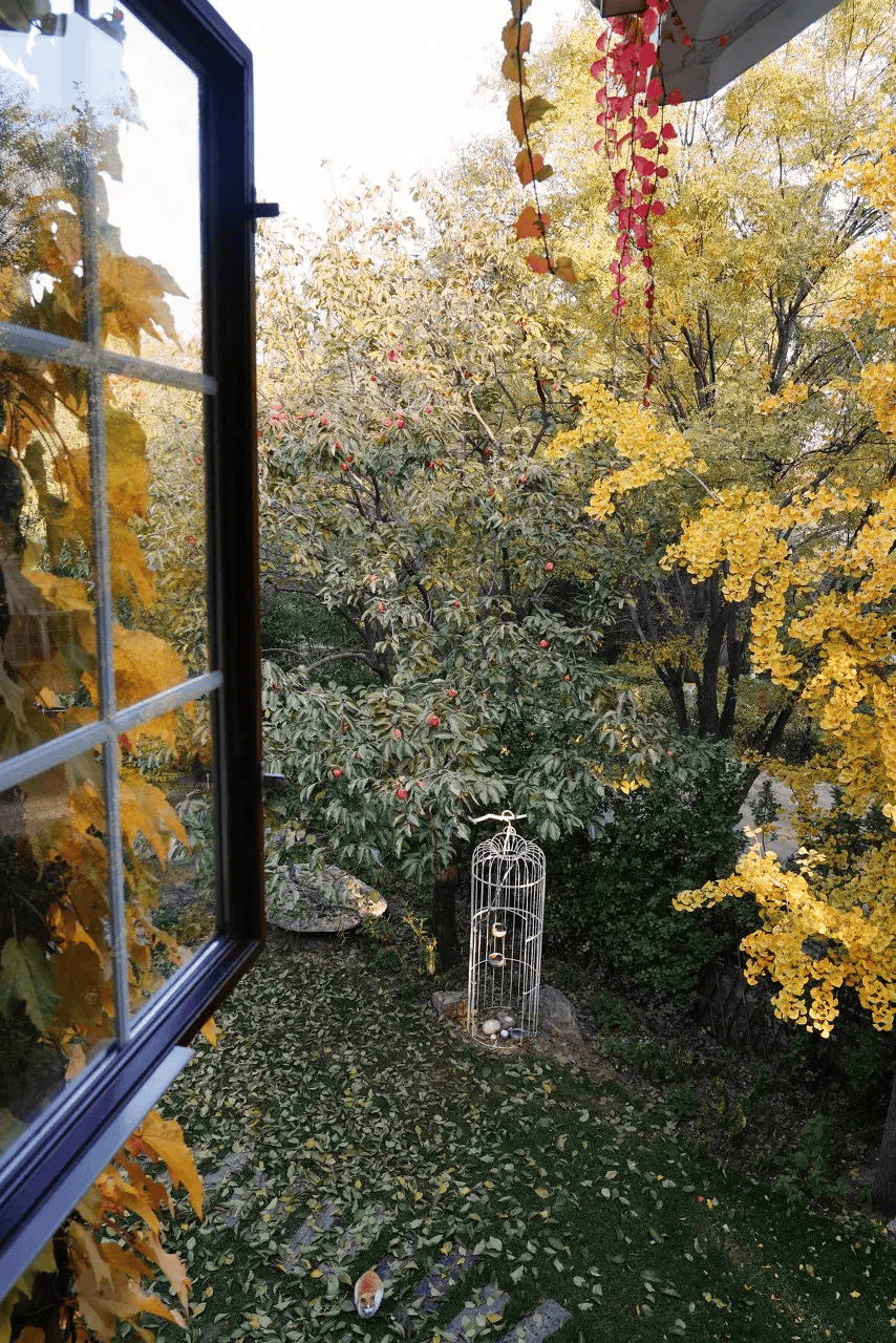 国内十一月最美的8个地方,去过一个就算旅游达人!不扎堆