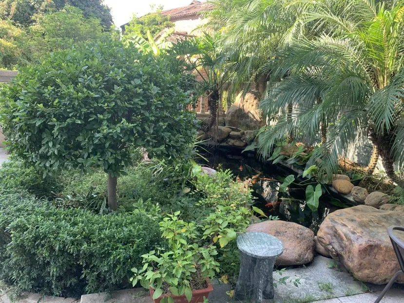 好养眼!增城1村12户入选市首批"美丽庭院"和示范村