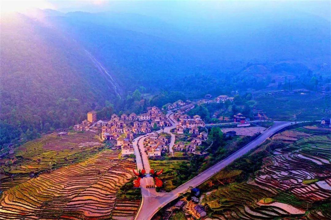 还剩半个月!云南这一奇观,世界罕见!_蝴蝶_爆发_金平