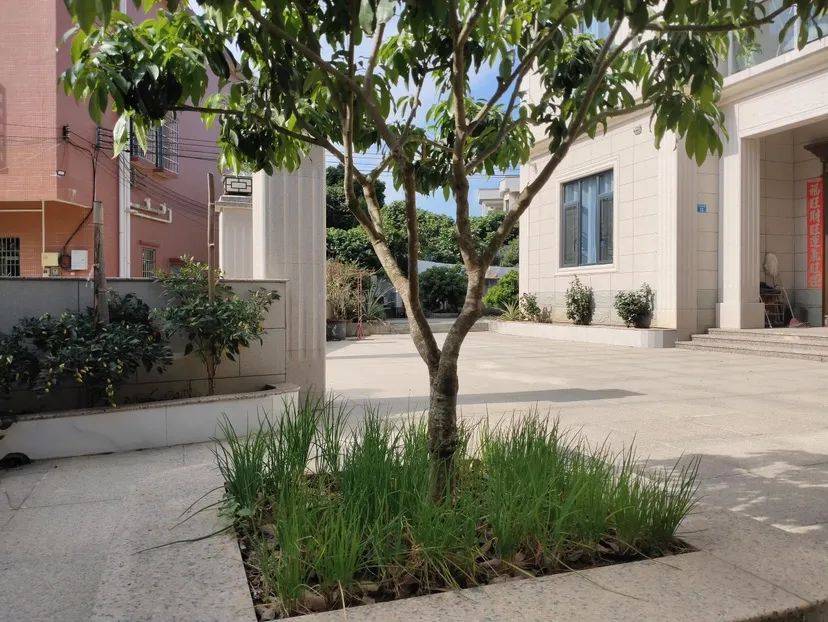 增城1村12户入选市首批"美丽庭院"和示范村