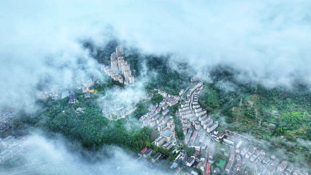 学义乌 干磐安——"义乌发展经验"磐安学习"三得"