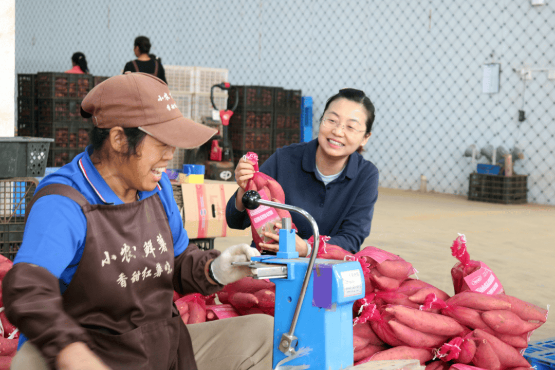 小农丫的红薯情——河南小农丫农业科技有限公司董事长 刘丹丹