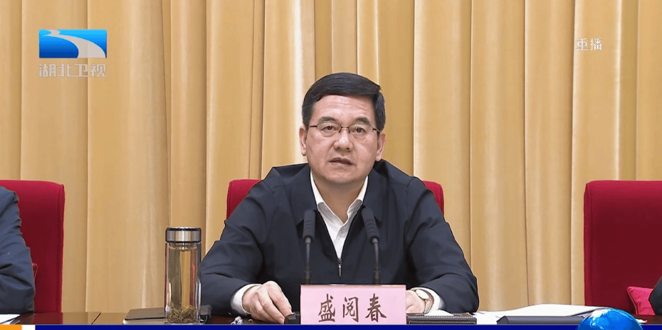 任命盛阅春为武汉市人民政府副市长,并决定盛阅春为武汉市人民政府