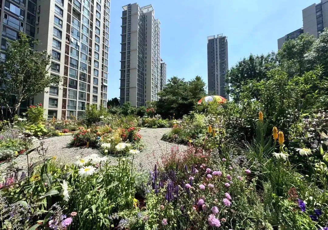 副中心这三个社区建微花园!三季有花,四季有景