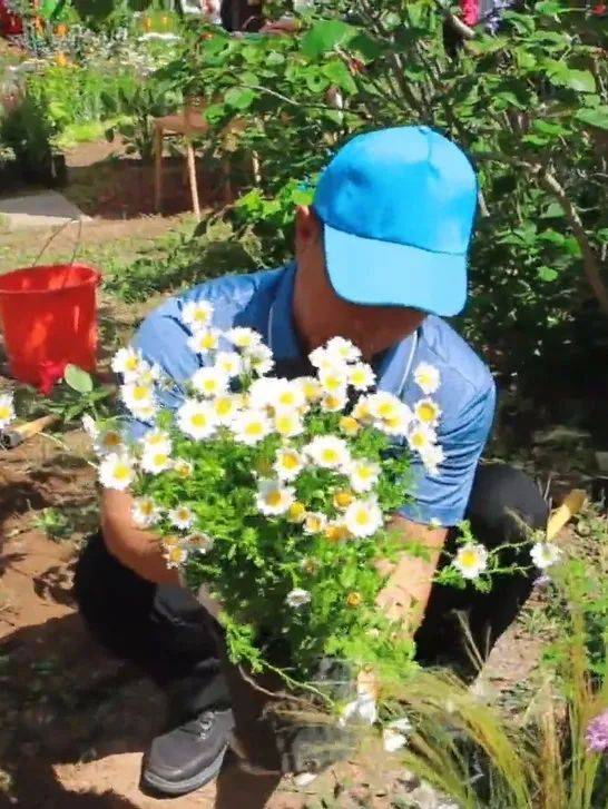副中心这三个社区建微花园!三季有花,四季有景