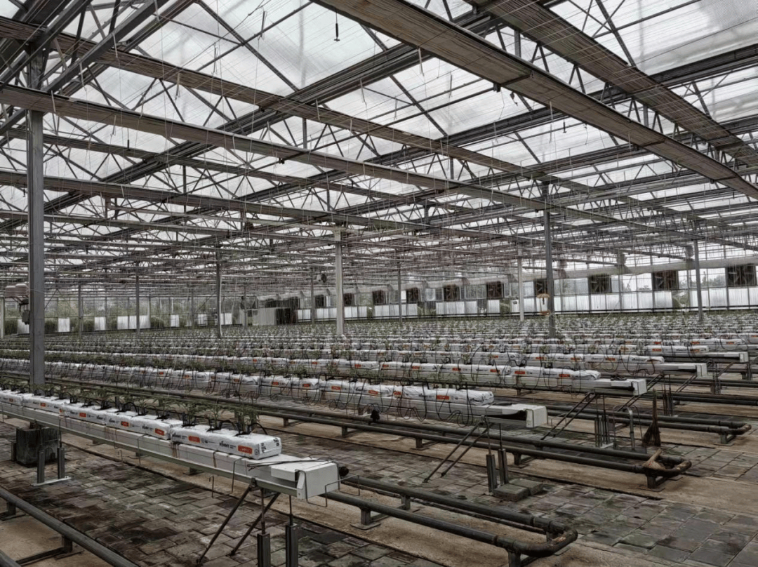 农博动态 | 再赴"农博"之约!带你探寻"新"变化_种植_栽培_长春